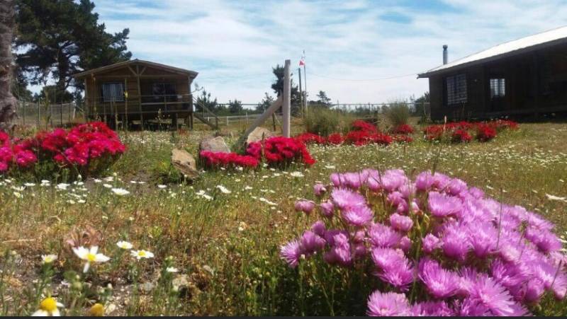 Venta Parcela Constitución - Maule