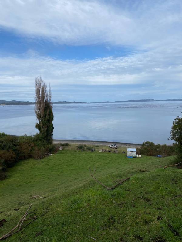 Venta Sitio Quinchao - Los Lagos