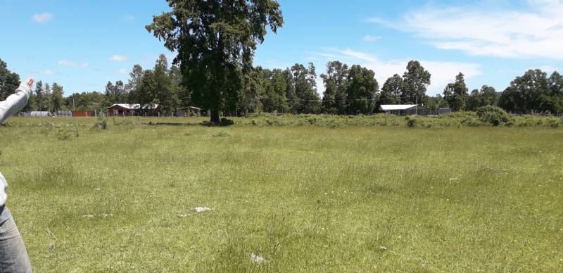 Venta Parcela Villarrica - La Araucanía