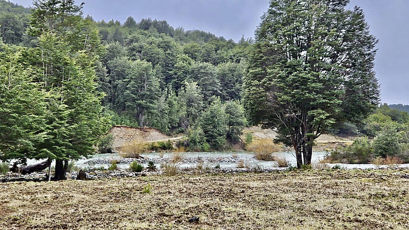 Venta Parcela Palena - Los Lagos