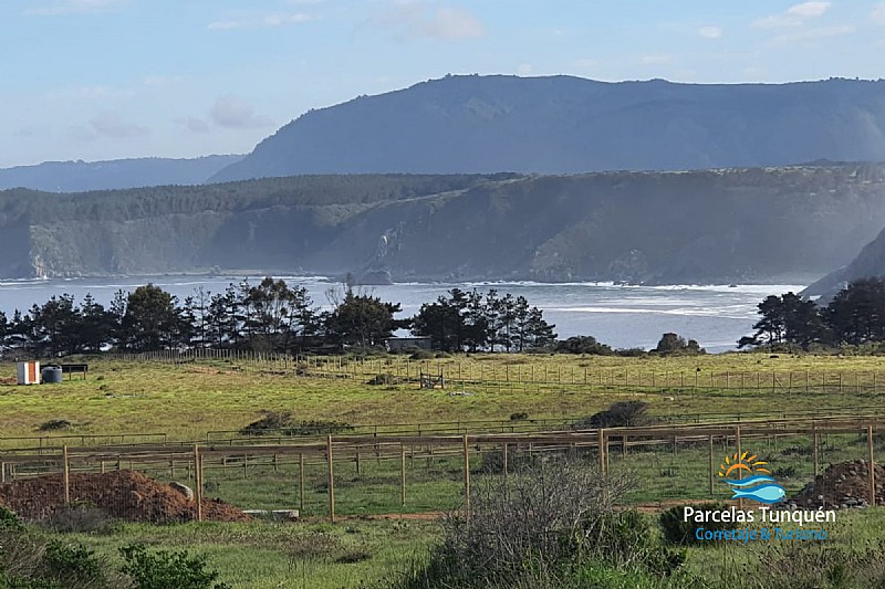 Venta Parcela Casablanca - Valparaíso