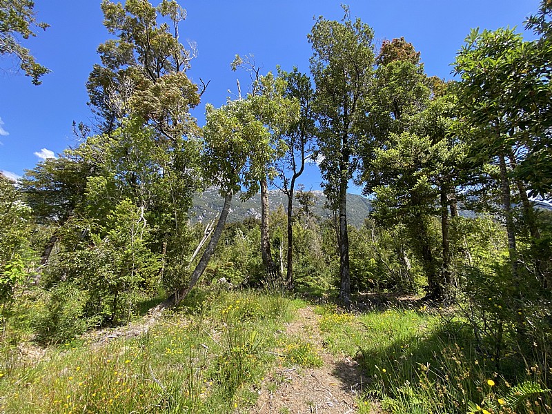 Venta Parcela Chaitén - Los Lagos