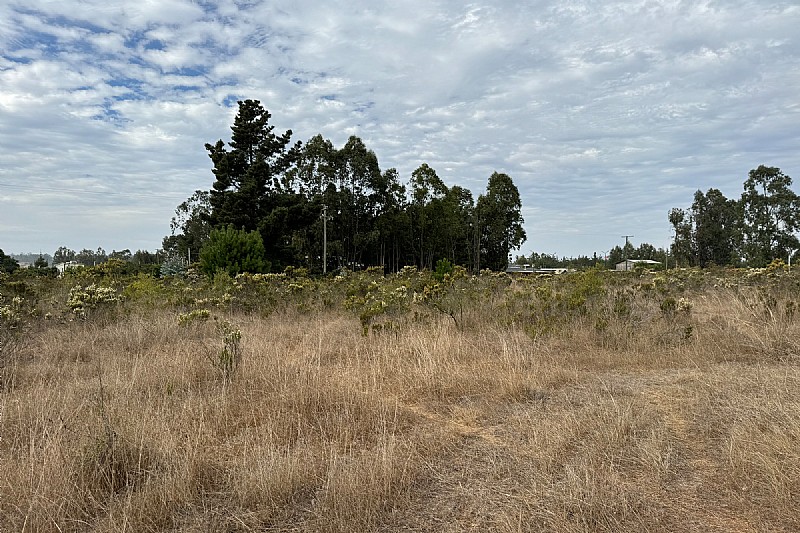 Venta Parcela Algarrobo - Valparaíso