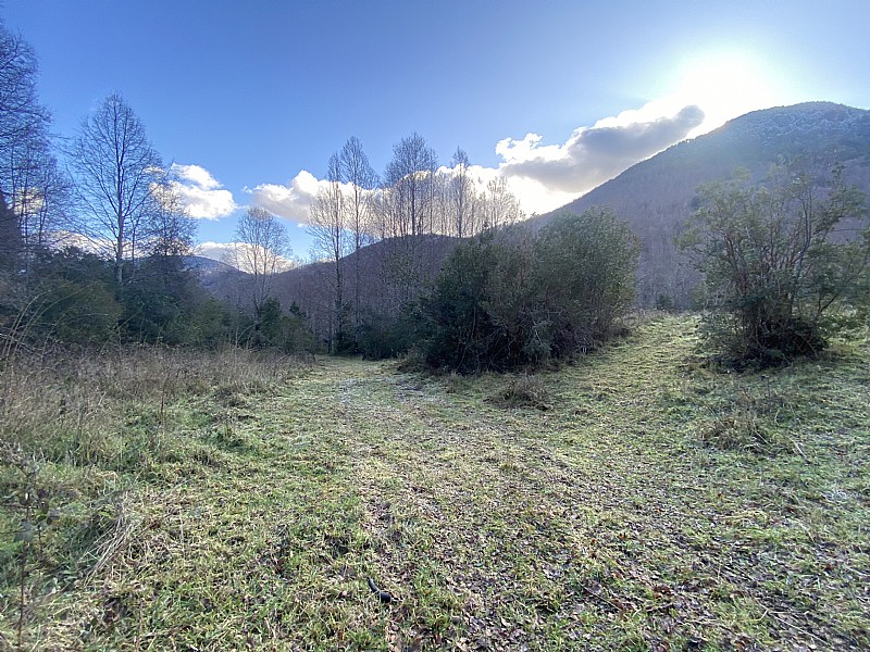 Venta Agrícola Pucón - La Araucanía