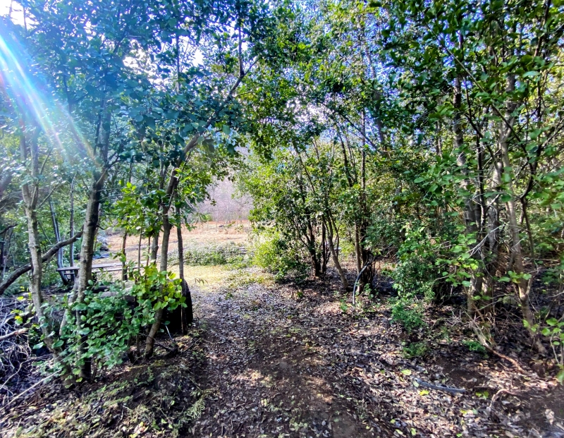 Venta Parcela Pucón - La Araucanía