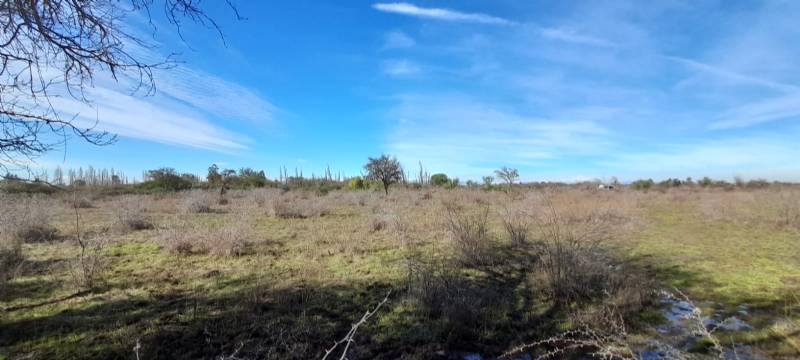 Venta Agrícola San carlos - Ñuble