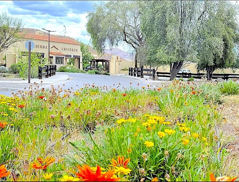 Venta Sitio Colina - Región Metropolitana