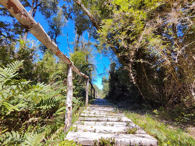 Venta Parcela Puerto Varas - Los Lagos