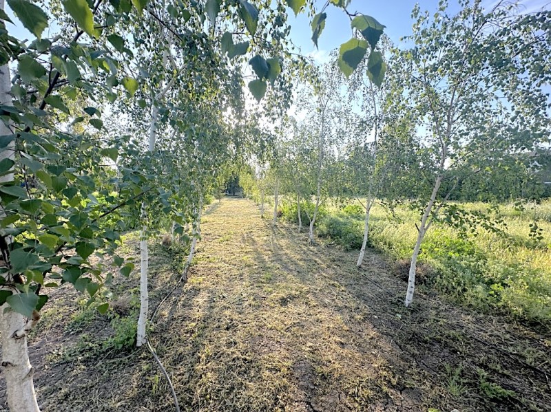 Venta Sitio Colina - Región Metropolitana