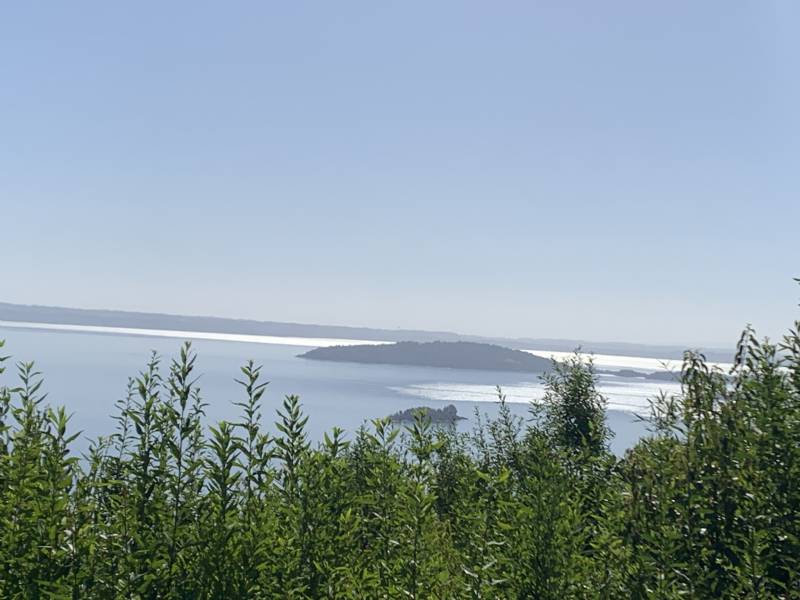 Venta Agrícola Lago Ranco - Los Ríos