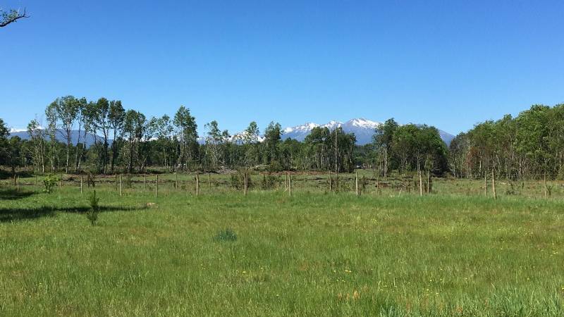 Venta Sitio Santa bárbara - Biobío