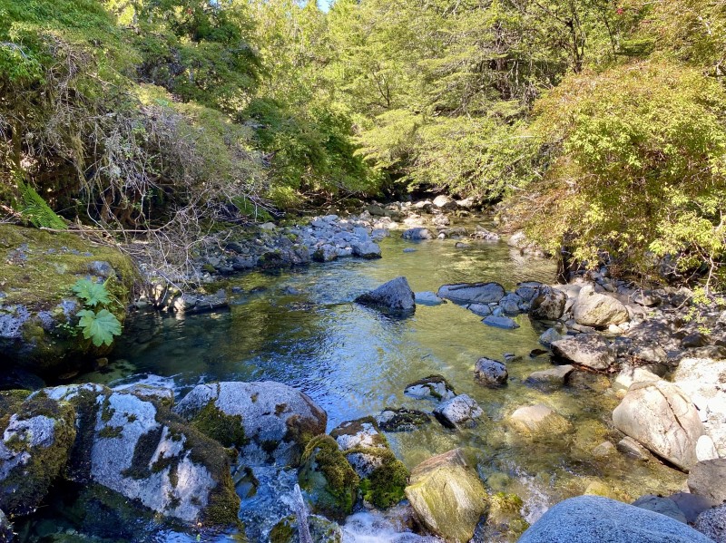 Venta Parcela Cisnes - Aysén