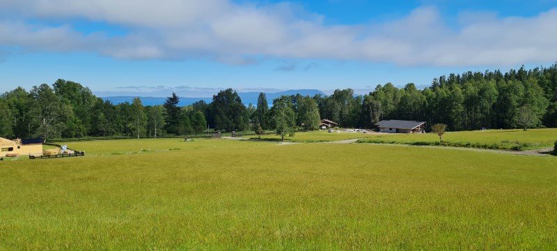 Venta Parcela Pucón - La Araucanía