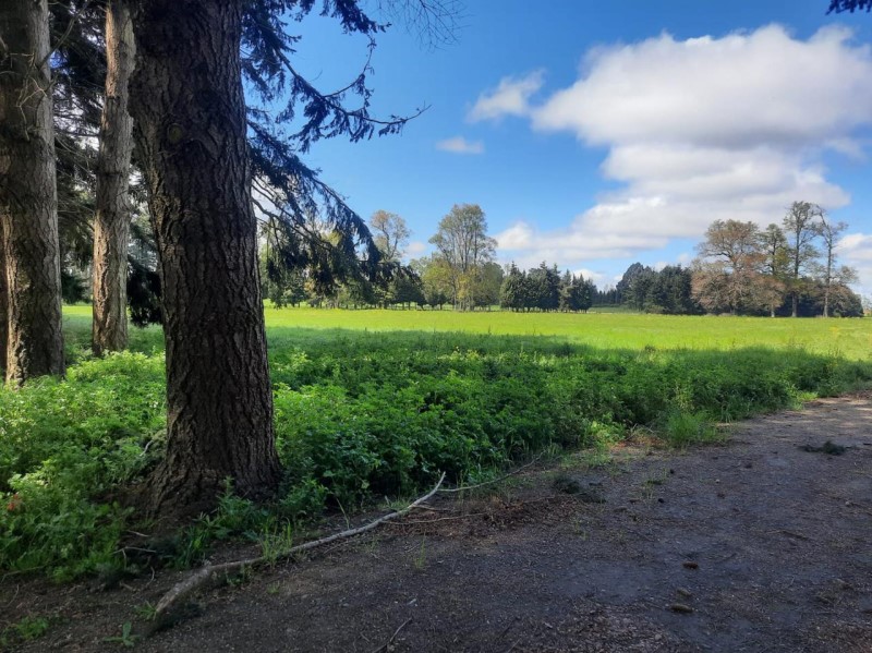 Venta Parcela Frutillar - Los Lagos