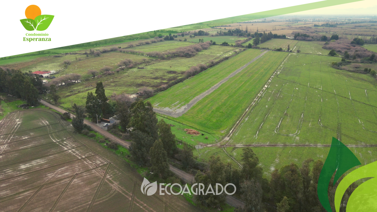 Venta Sitio San carlos - Ñuble