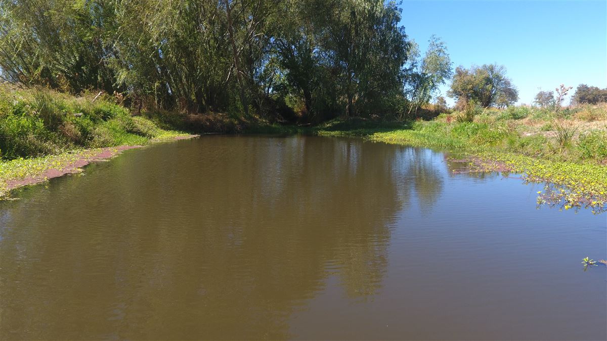 Venta Parcela Bulnes - Ñuble