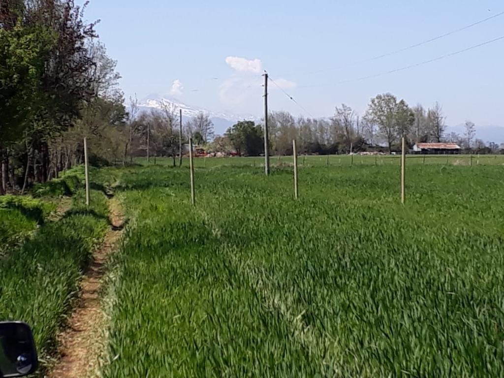 Venta Parcela Coihueco - Ñuble