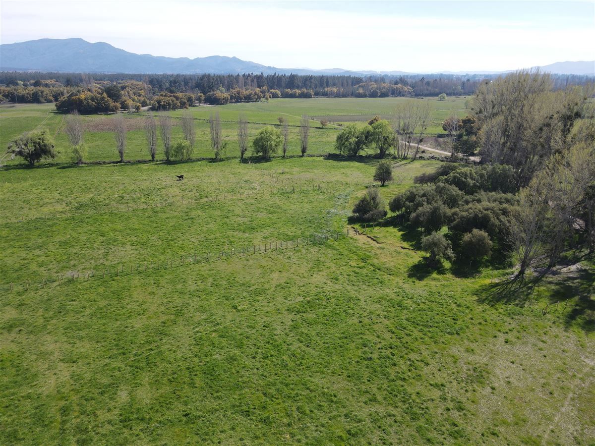 Venta Agrícola Bulnes - Ñuble