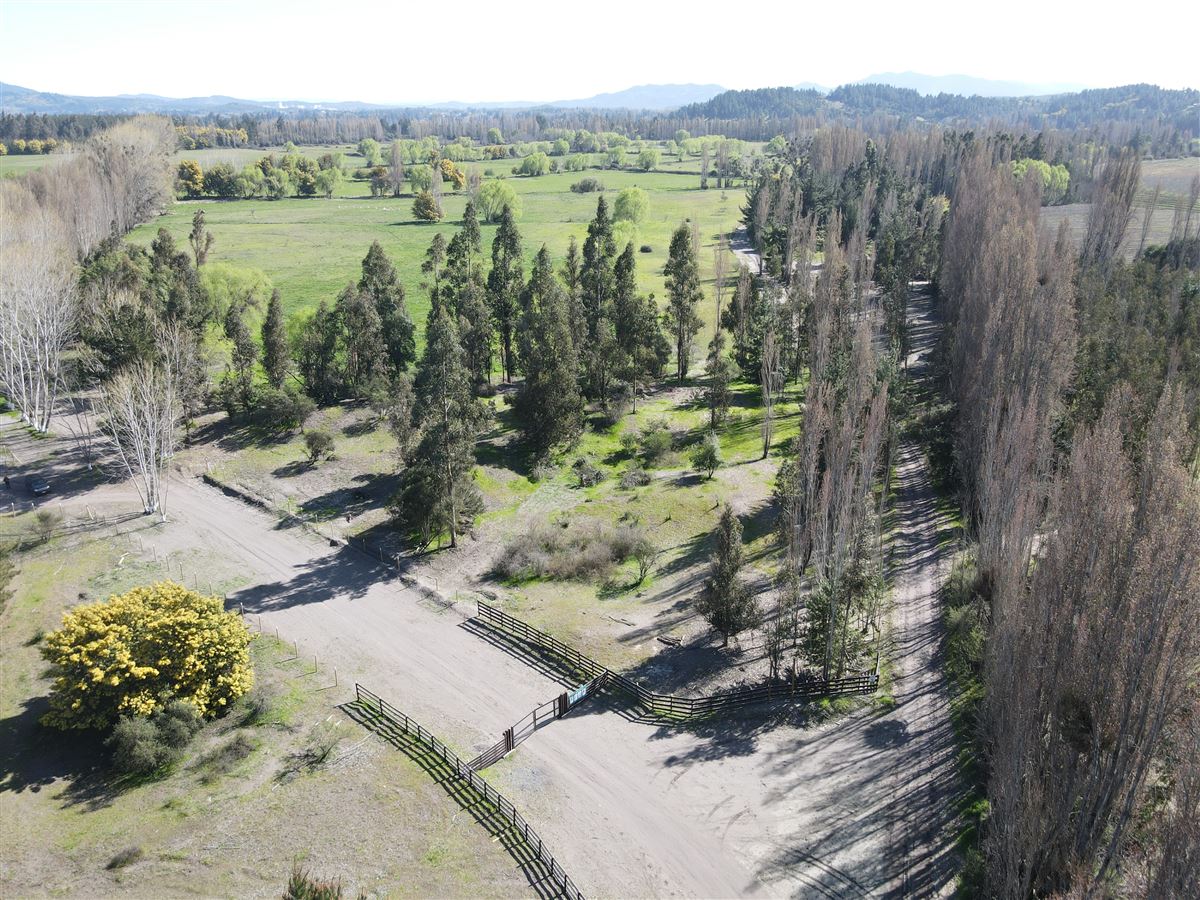 Venta Parcela Bulnes - Ñuble