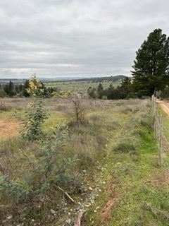 Venta Parcela San nicolás - Ñuble