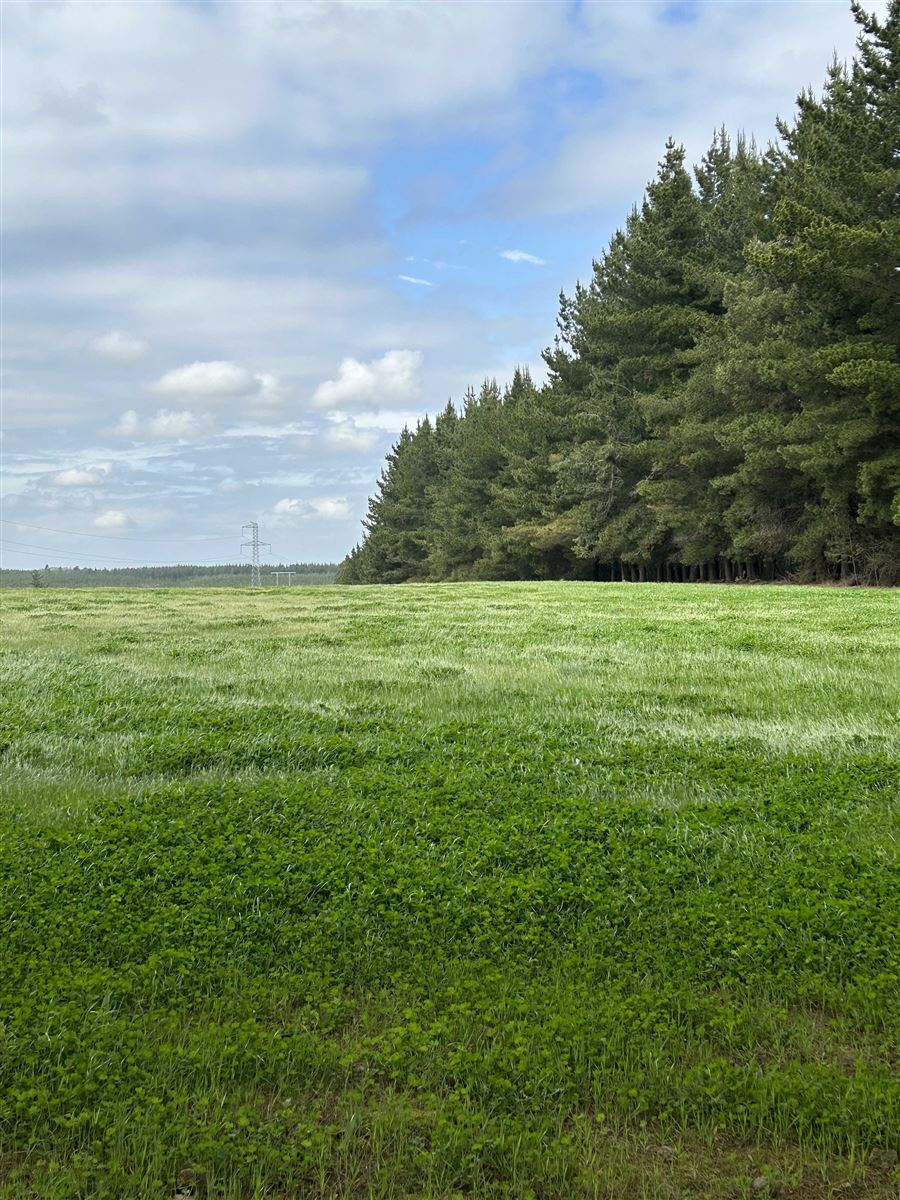 Venta Agrícola San Ignacio - Ñuble