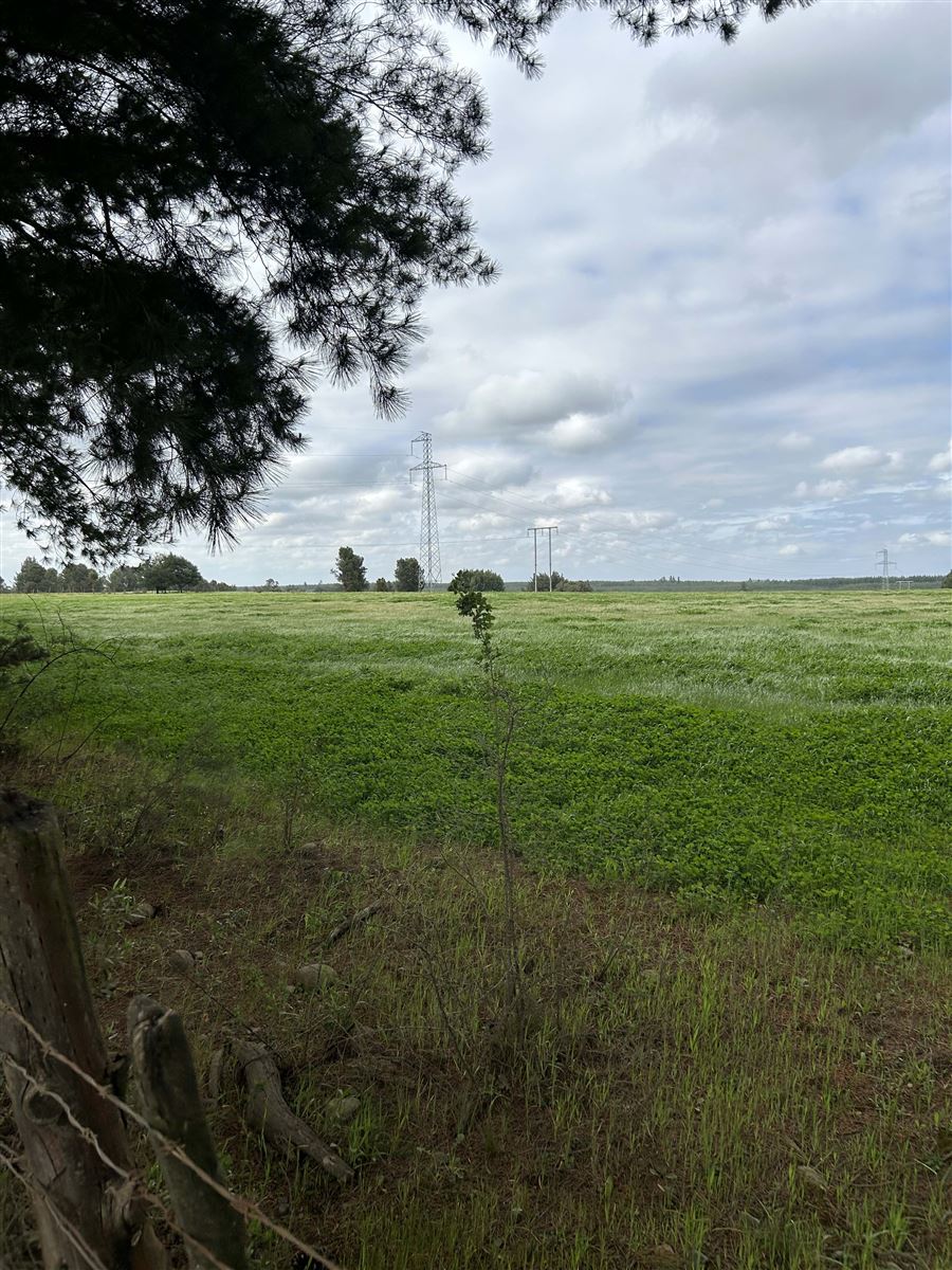 Venta Parcela San Ignacio - Ñuble