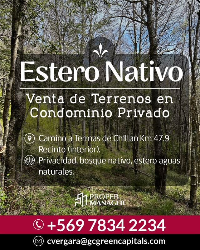 Venta Sitio Pinto - Ñuble