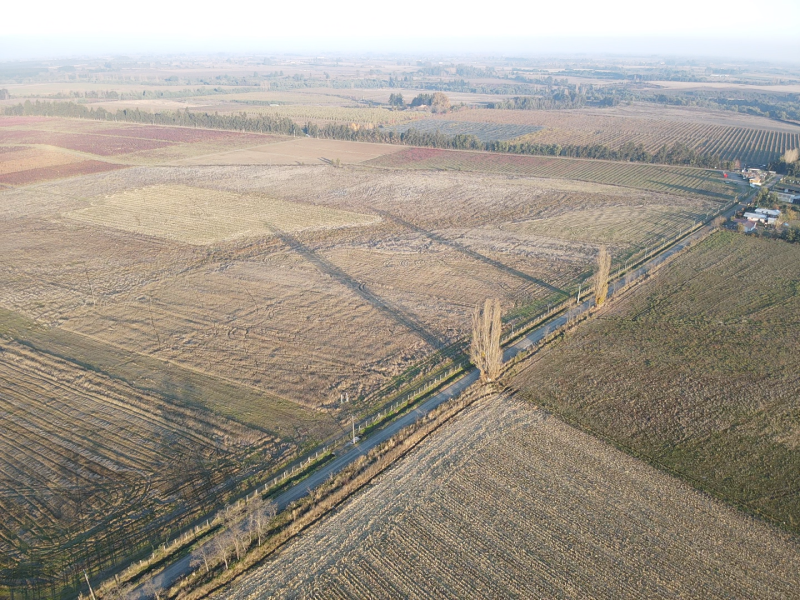 Venta Parcela Chillán - Ñuble