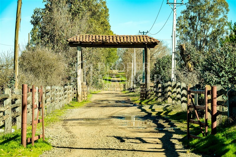 Venta Parcela San Nicolás - Ñuble