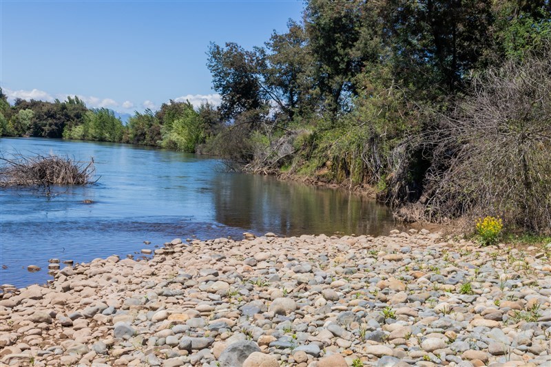Venta Agrícola Parral - Maule