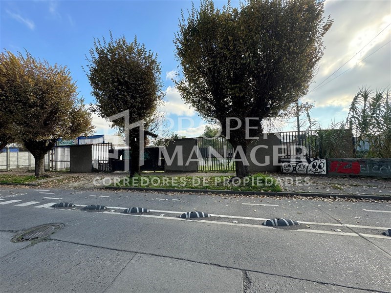 Arriendo Sitio Chillán - Ñuble