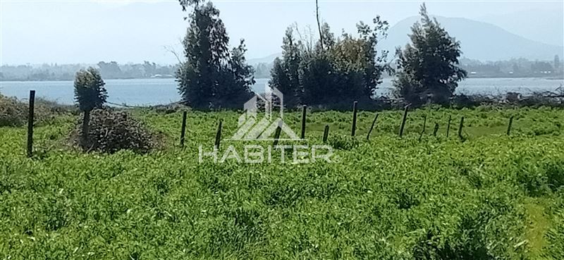 Venta Agrícola Teno - Maule