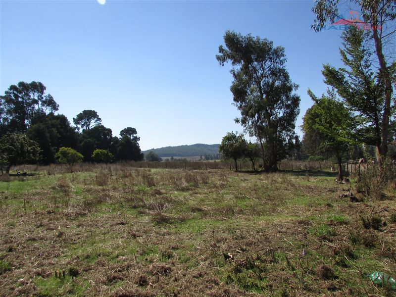 Venta Sitio Traiguén - La Araucanía