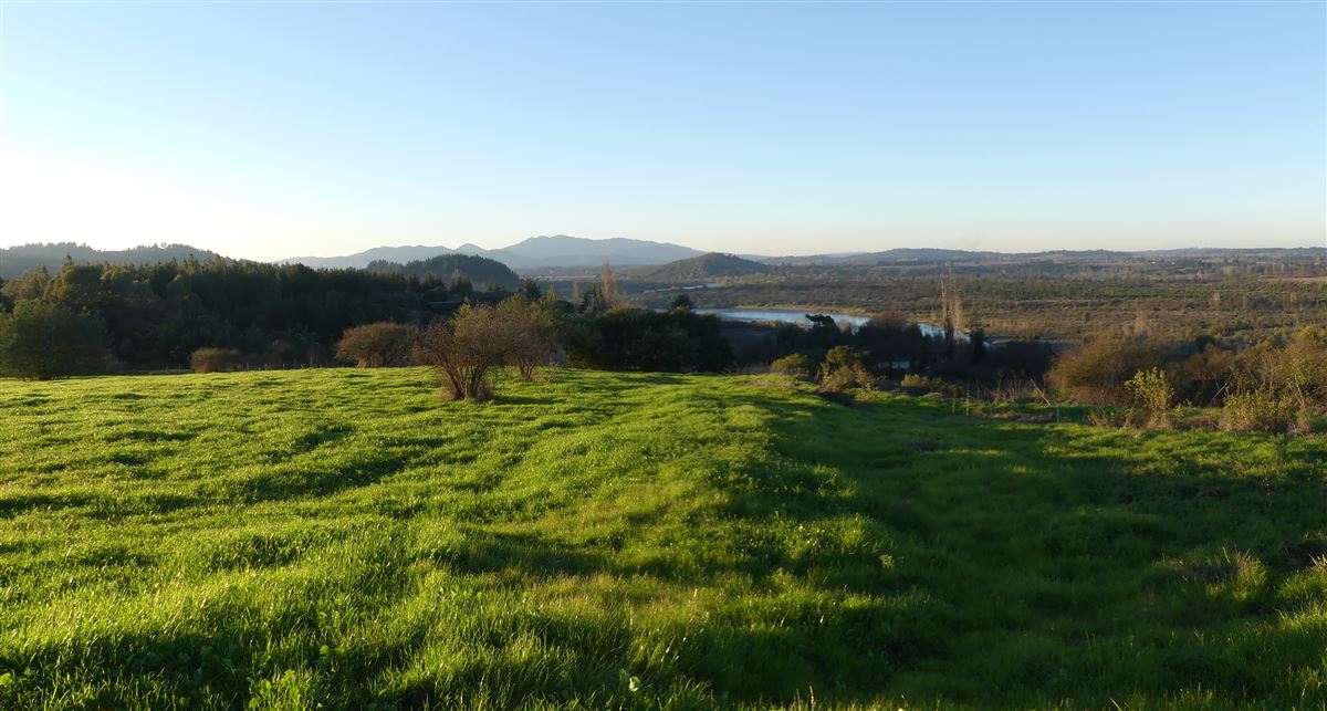 Venta Parcela Quillón - Ñuble