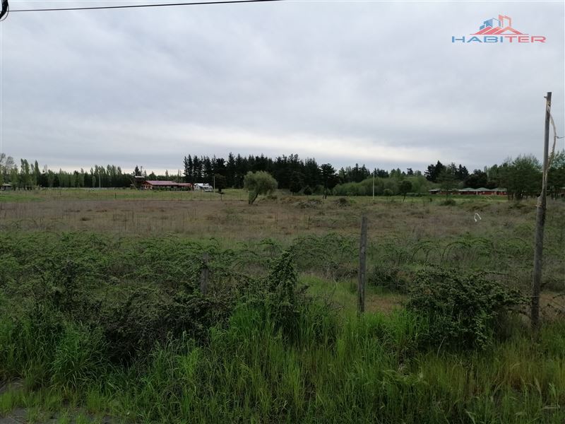 Venta Sitio Cabrero - Biobío