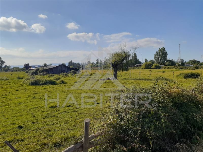 Venta Agrícola Curicó - Maule