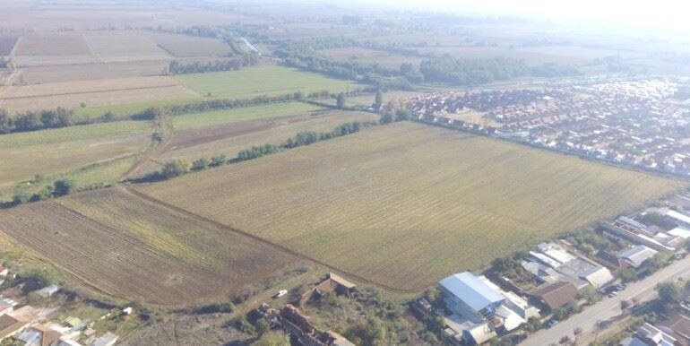 Venta Industrial San clemente - Maule