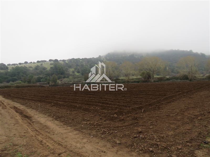 Venta Parcela Teno - Maule