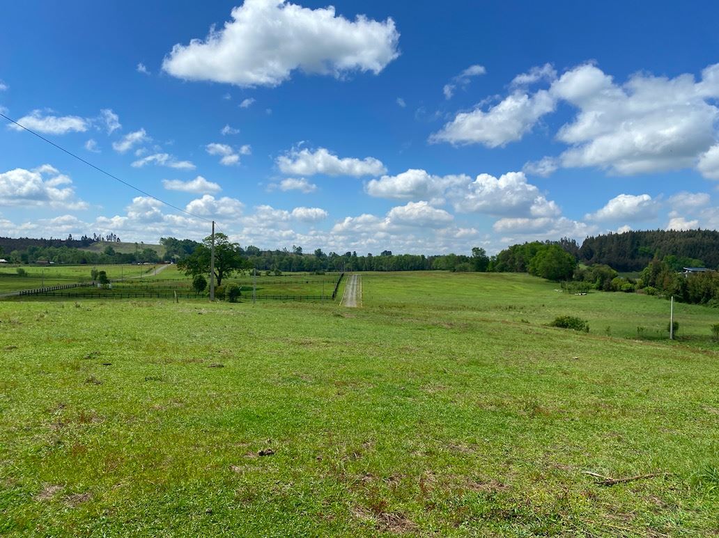 Venta Sitio Temuco - La Araucanía