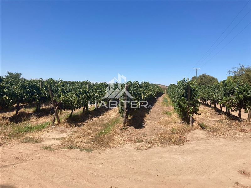 Venta Agrícola Pencahue - Maule