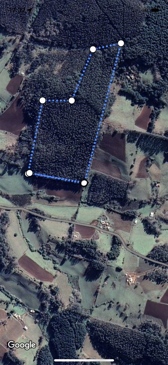 Venta Agrícola Carahue - La Araucanía