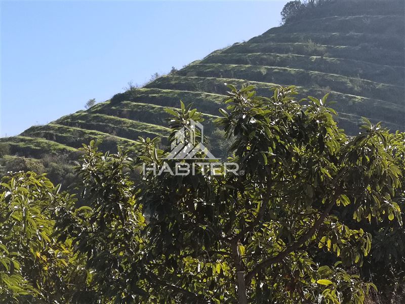 Venta Agrícola Melipilla - Región Metropolitana
