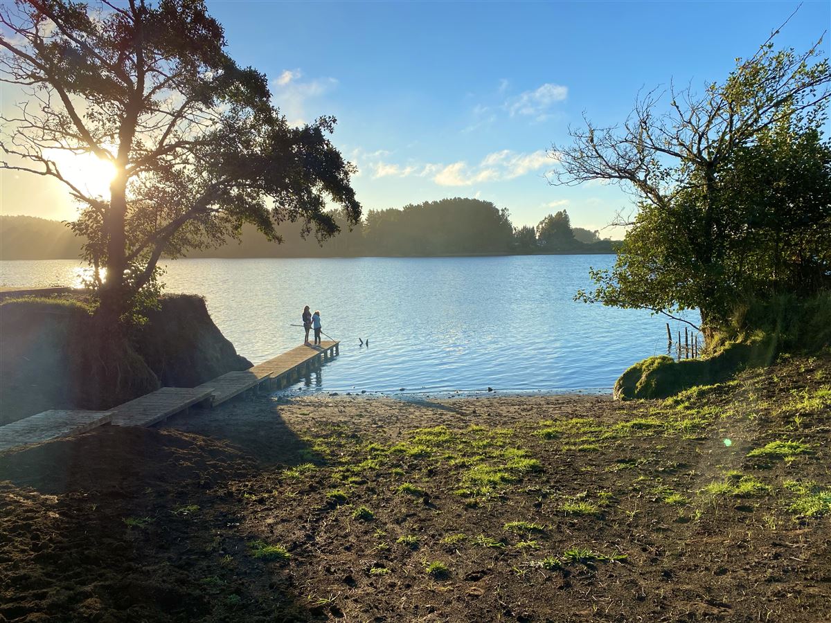 Venta Sitio Toltén - La Araucanía