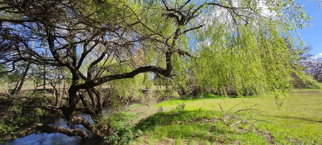 Venta Sitio Los Angeles - Biobío