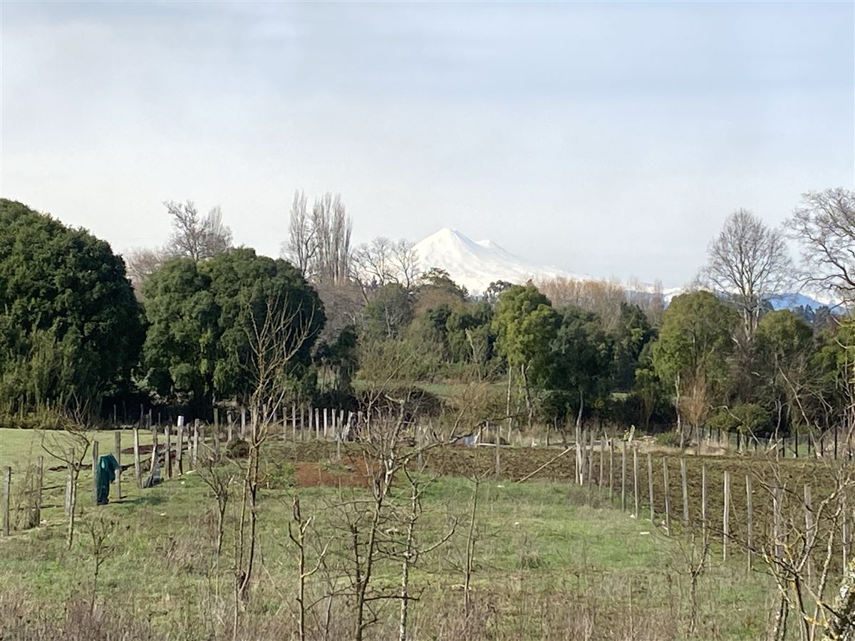 Venta Sitio Lautaro - La Araucanía