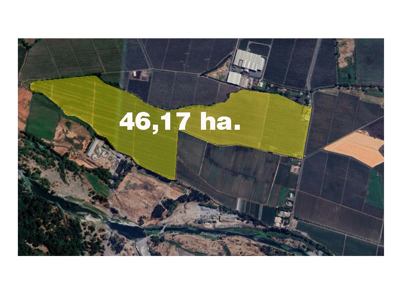 Venta Agrícola Curicó - Maule