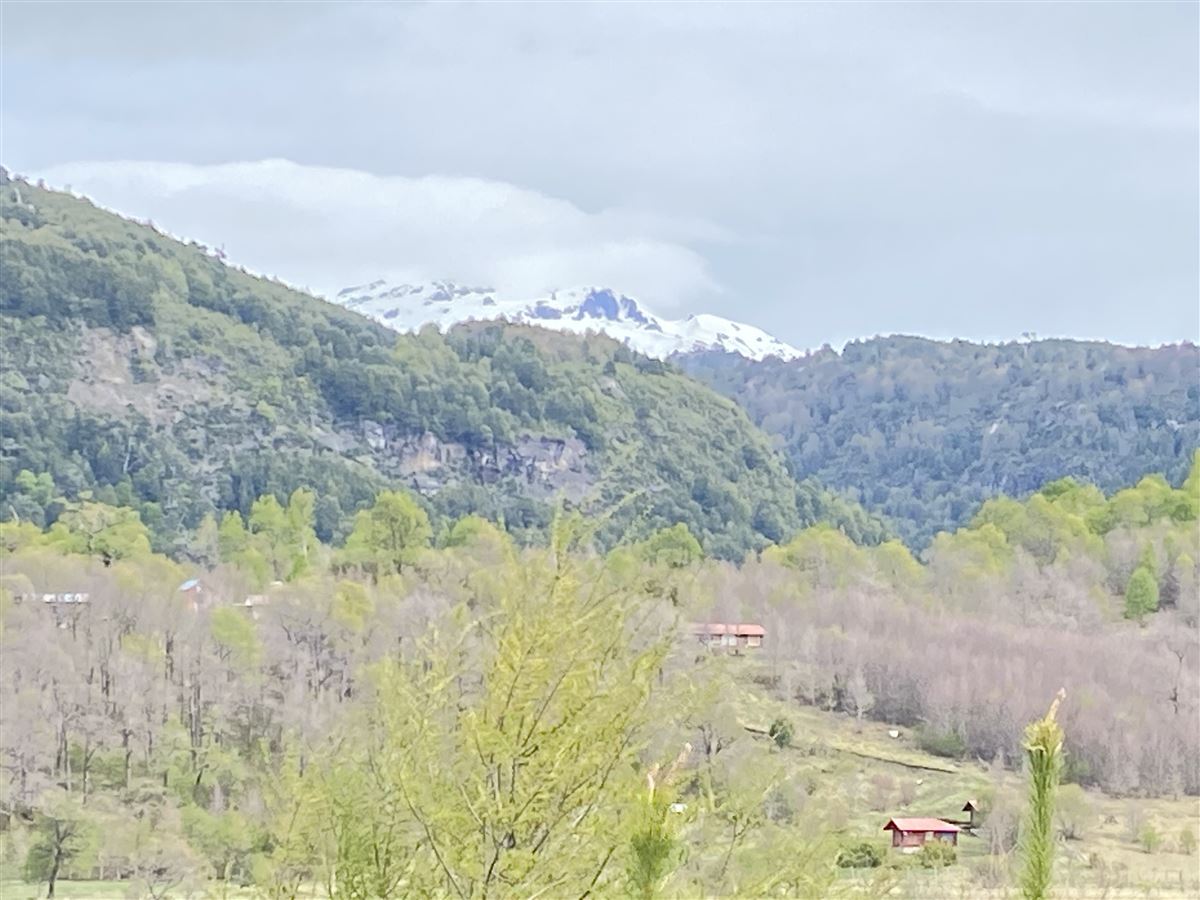 Venta Sitio Curacautín - La Araucanía