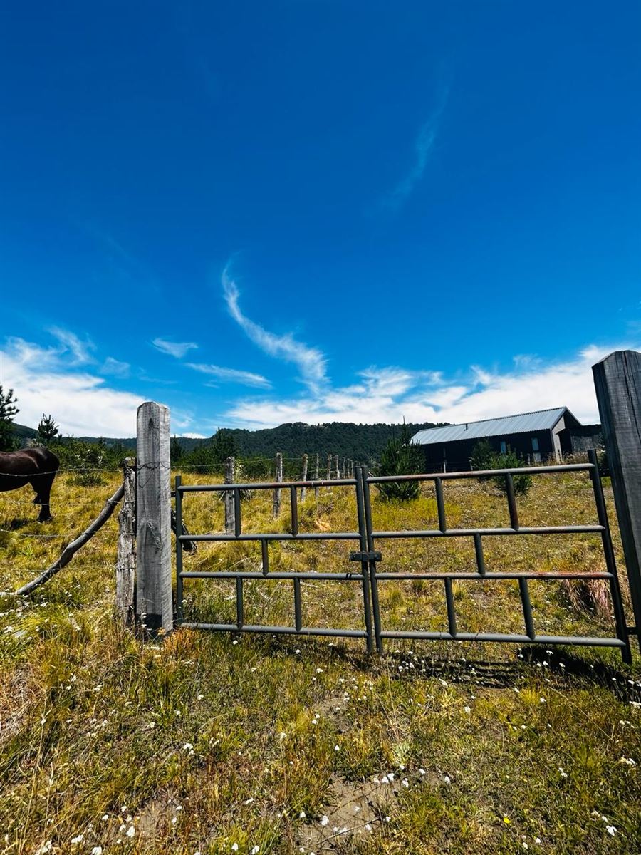 Venta Sitio Curacautín - La Araucanía