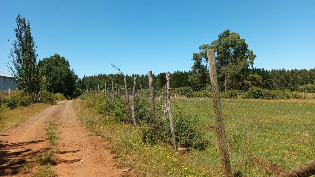 Venta Agrícola Mulchén - Biobío