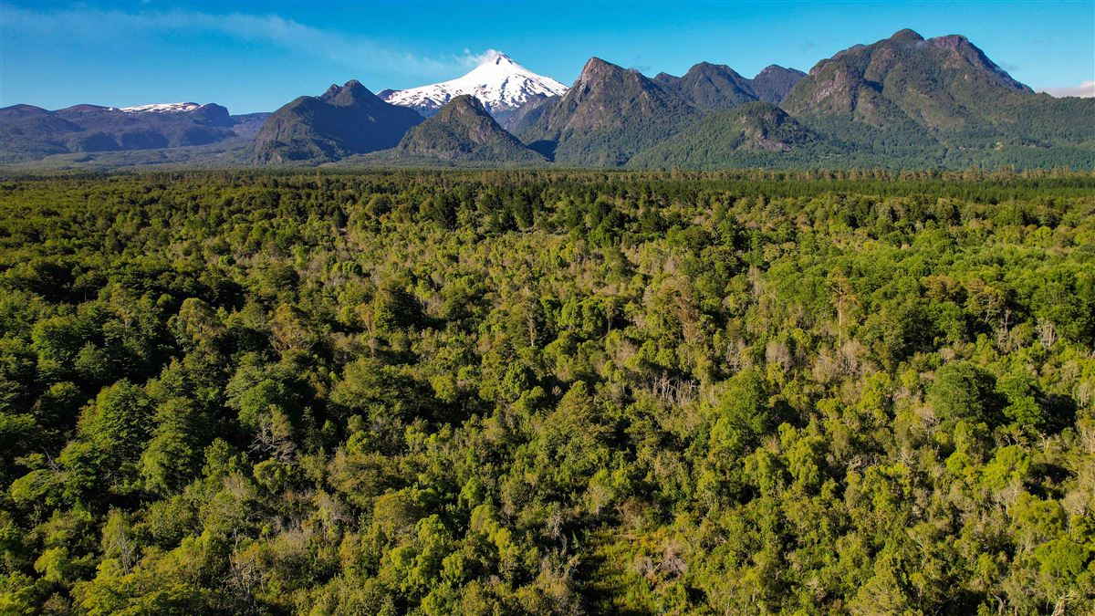 Venta Parcela Pucón - La Araucanía